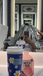 -YESIDO椰岛造型
