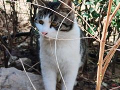 -李叔同故居纪念馆