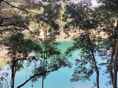 -广州市流溪河国家森林公园
