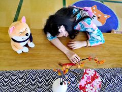 -柴犬小屋·柴餐厅·狗咖食堂(金鼎广场店)