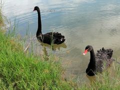 -湖泉水云间餐厅·弥勒地道菜(B座店)