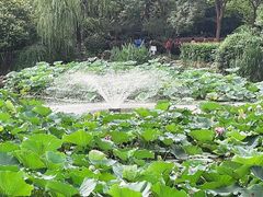 -郑和公园