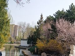 -团结湖公园