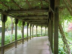 -大连植物园