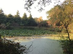 -金孔雀温泉旅游度假村