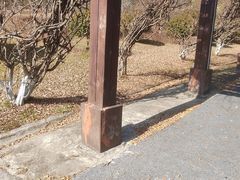 -宜春禅都文化博览园