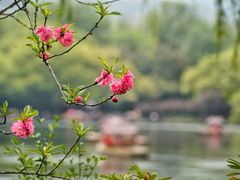 -苏堤停车场