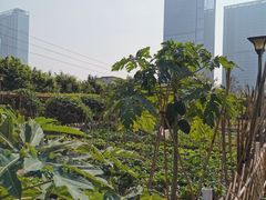 -海珠儿童公园