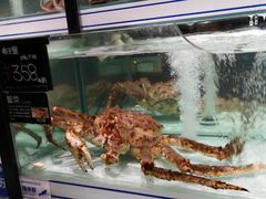 -胖东来生活广场(健康路店)