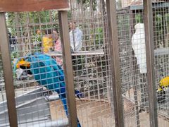 -南宫五洲植物乐园