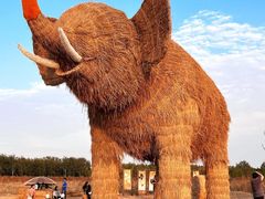 -元大都城垣遗址公园