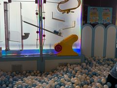 -童趣廊·儿童波波池·海洋球(长隆横琴湾酒店)