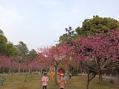 -船政文化景区-罗星塔公园
