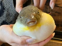 -永安鱼庄·镇江菜(丁卯店)