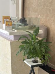 -香秀空间科技抗衰·美容中心