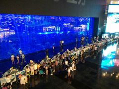 -成都浩海立方海洋公园