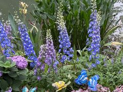 -人民公园(罗湖区)