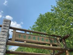 -牛背梁国家森林公园