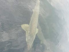 -白云山庄