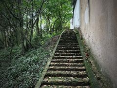 -上海佘山国家森林公园天马山园