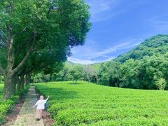 -陶祖圣境风景区