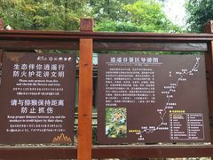 -逍遥谷景区