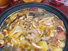 -蘑统田下·野生菌火锅