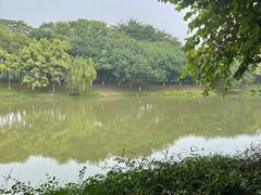 -怡海公园(桂城街道)