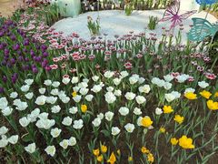 -石家庄市植物园