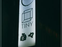 -TINY