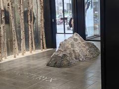 -ARC'TERYX始祖鸟(北京王府中环店)