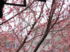 -东林广场(地铁站)