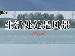 -漕湖湿地公园