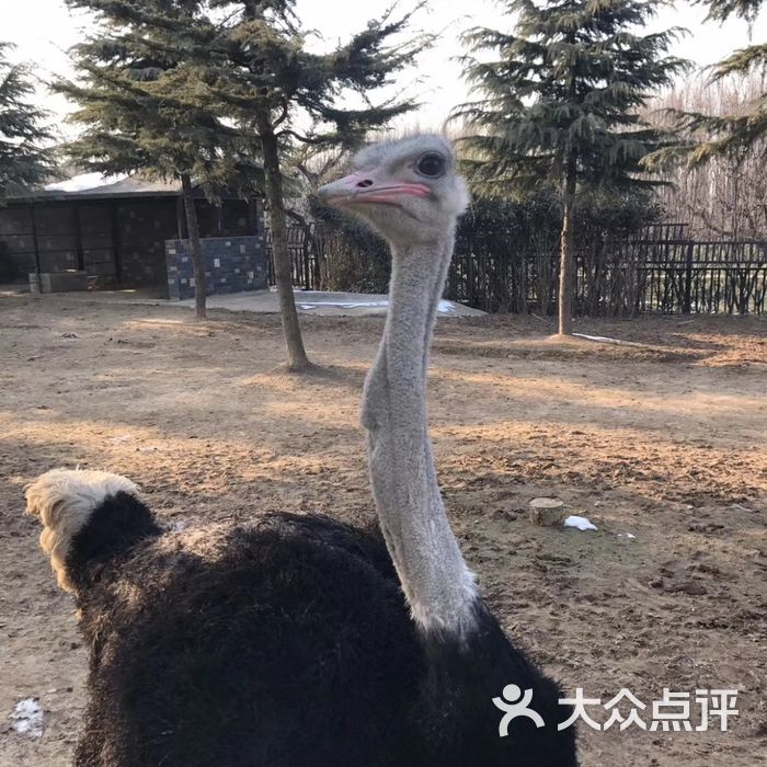 淮安市生態動物園