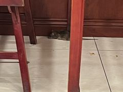 -八爷手擀炸酱面(天津总店)