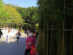 -神光山国家森林公园