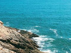 -广东惠东海龟国家级自然保护区