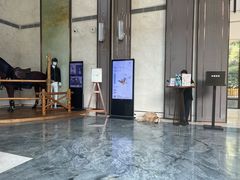 -上海崇明金茂凯悦酒店