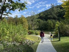 -云溪植物园