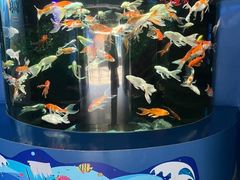 -厦门海底世界