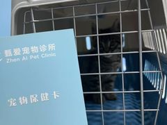 -甄爱宠物医院(疏影路店)