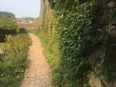 -枸杞岛