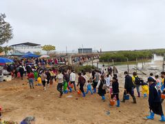 -北海金海湾红树林生态旅游区