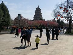 -大雁塔北广场音乐喷泉