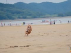 -东海半边山旅游度假区
