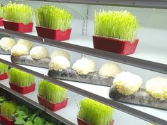 -番食园鲜食火锅(高新店)