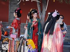 -曲江春晓苑