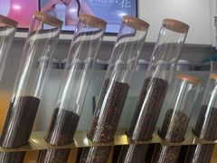 -雾与山茶(大禹城店)