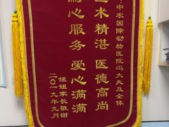 -中农国际动物医院24小时·猫科·骨科·急重症中心