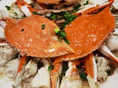 -小天妃海鲜酒楼(西马庄店)